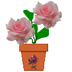 The Site Fights Spirit Flowers